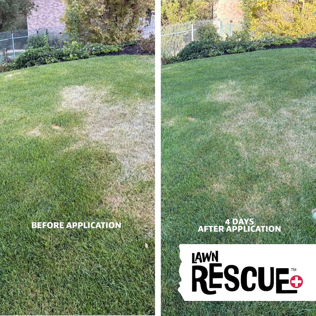 Lawn Rescue by Mark and Phil’s, Liquid Lawn Fertilizer, Fast Lawn Recovery for Summer Heat and Drought Stress, 20-0-0