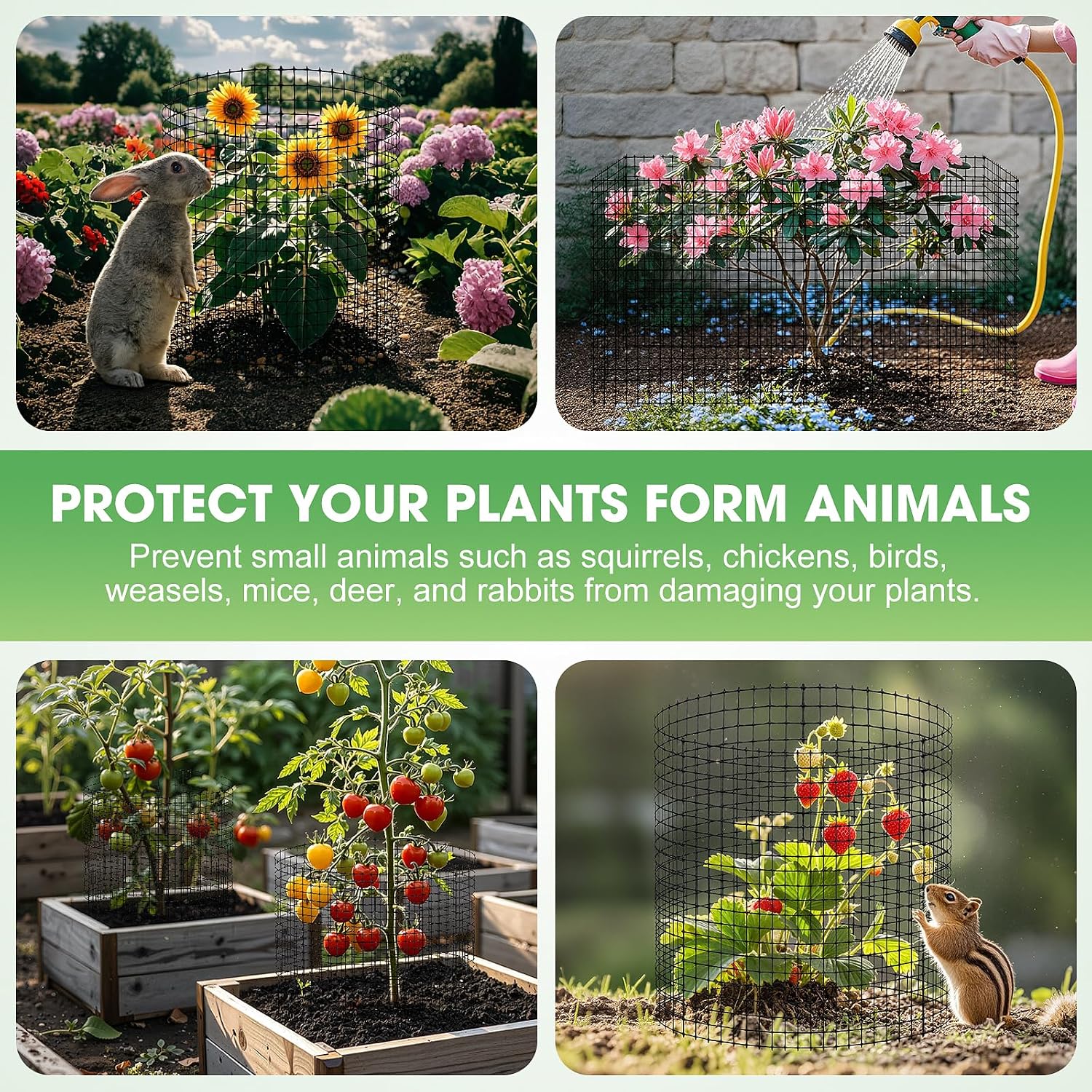 10 Pack Plant Protectors from Animals,12x12in Metal Wire Plant Cages | Outdoor Gardening Supplies, Garden Plant
