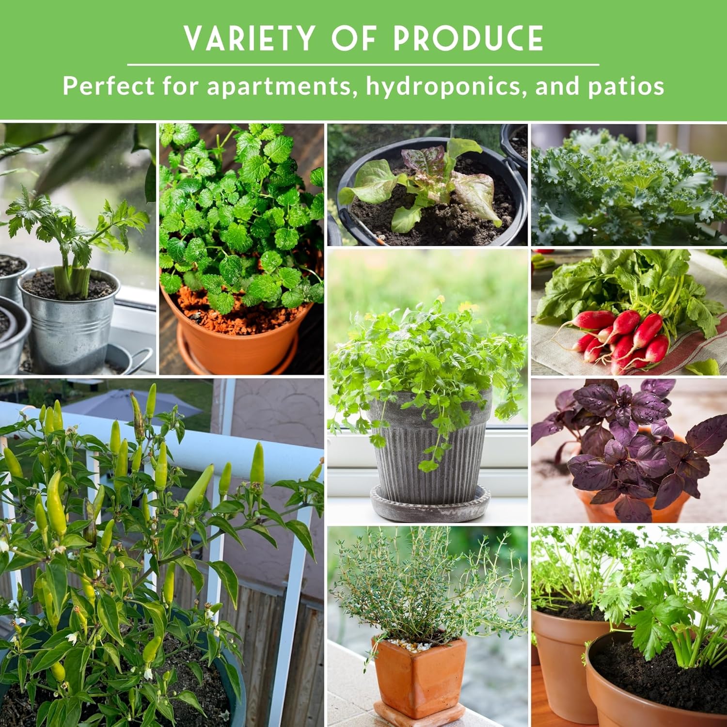 Hydroponic & Indoor Garden Seed Kit – Survival Garden Seeds | 20 Compact Heirloom Vegetable & Herb Varieties
