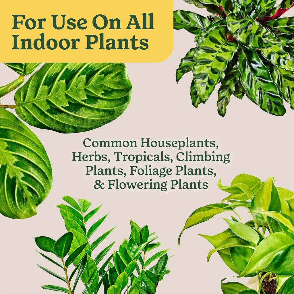 Gro Indoor Potting Mix for All Plants, 16 qt. (2-Pack) | Use with Houseplants and More, Feeds for up to 6 Months