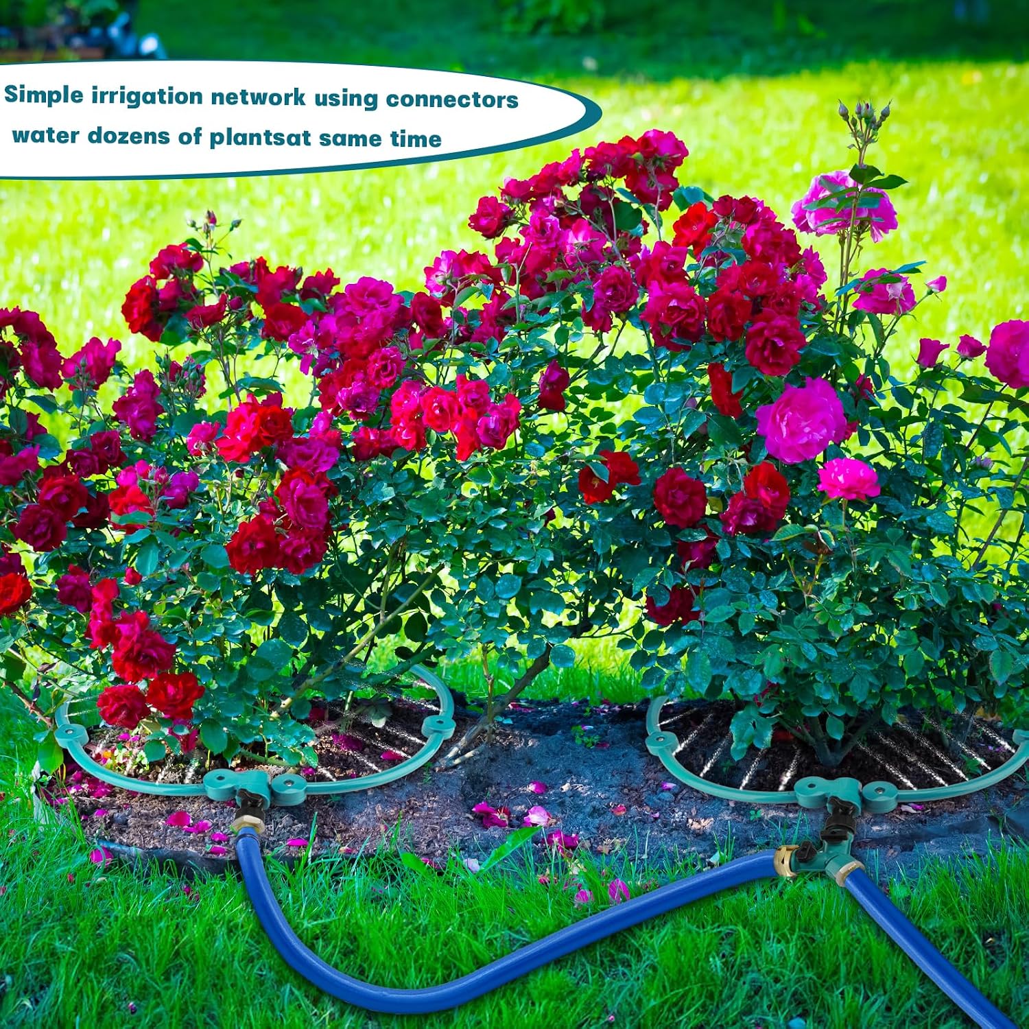 2Pcs 360° Tree Water System Tree Watering Ring 20 Inch Circle Sprinkler and Irrigation System Targeted Water with Y