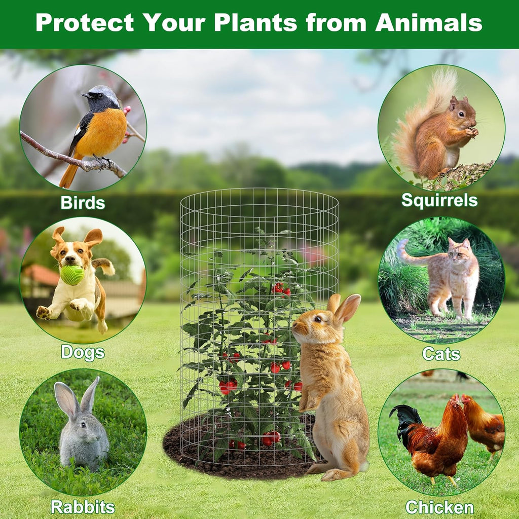 winemana 12 Set Plant Protectors from Animals, Plant Cages for Outdoor | 36 Pcs 16x12 IN Metal Wire Plant Protector