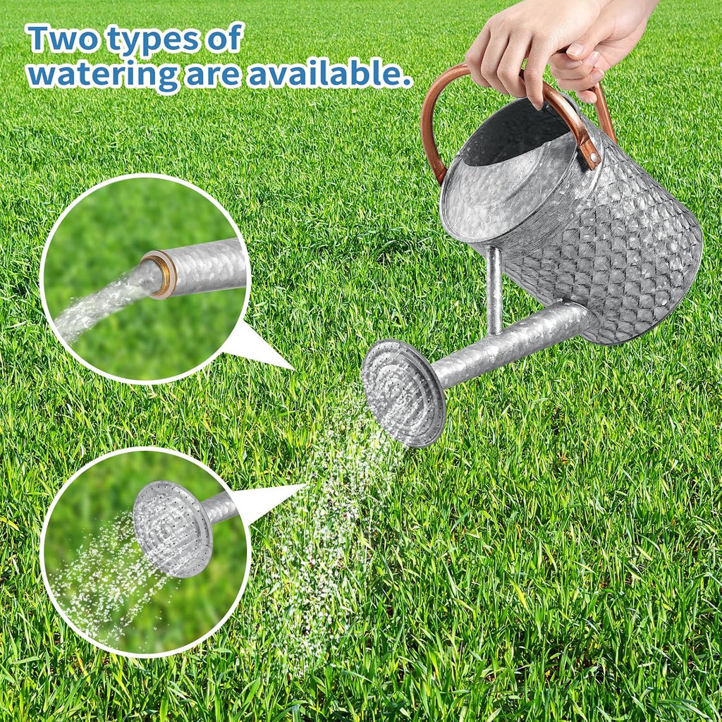 1 Gallon Metal Watering Can for Outdoor Indoor Plants, Galvanized Watering Can with Removable Spray Spout, Ideal for