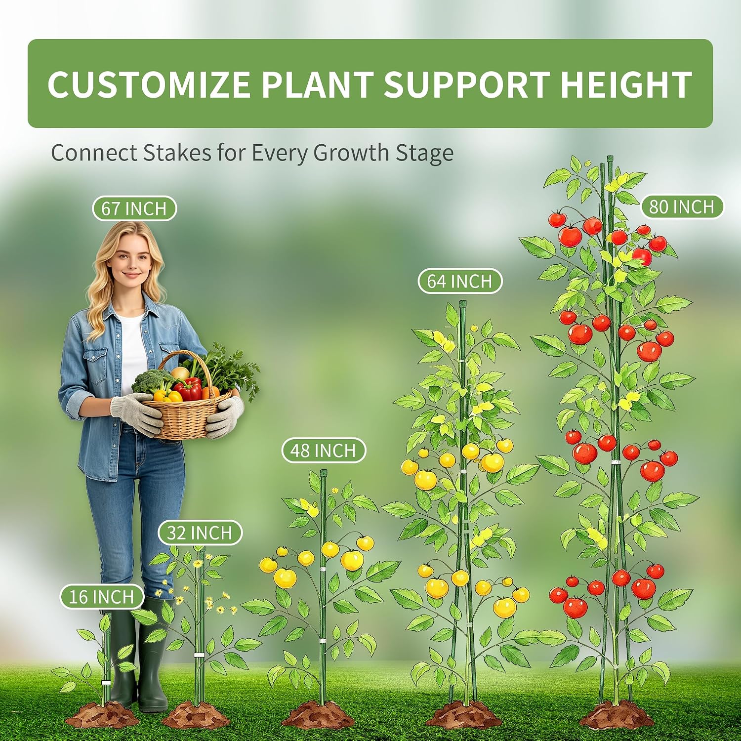 PROWORX Garden Plant Stakes, 16 Inch 30 Pack DIY 4ft 5ft 6ft Tomato Stakes | Plastic Coated Metal Plant Support Stakes