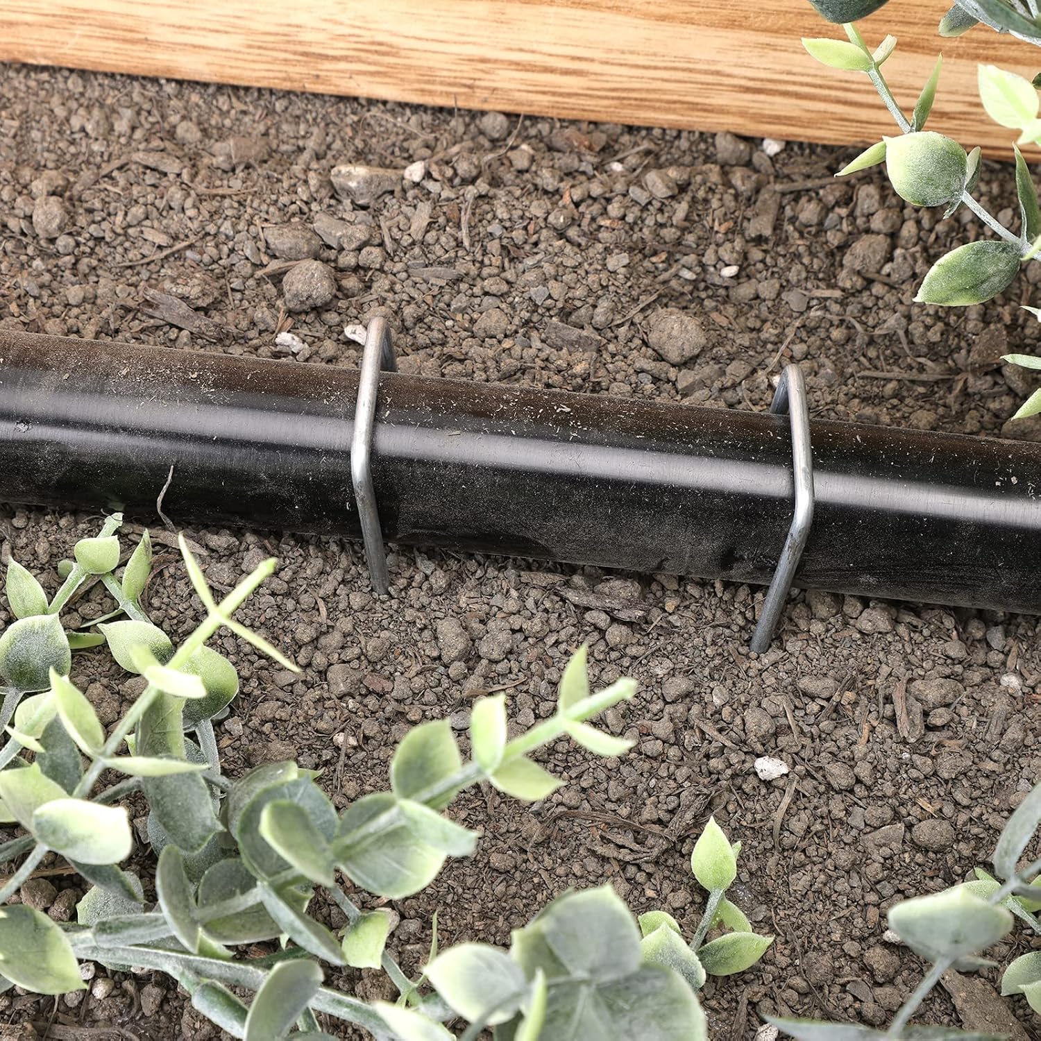 Whonline 560 Pack Landscape Staples 6 Inch, Galvanized Garden Stakes | U-shaped Ground Staples for Landscape Fabric