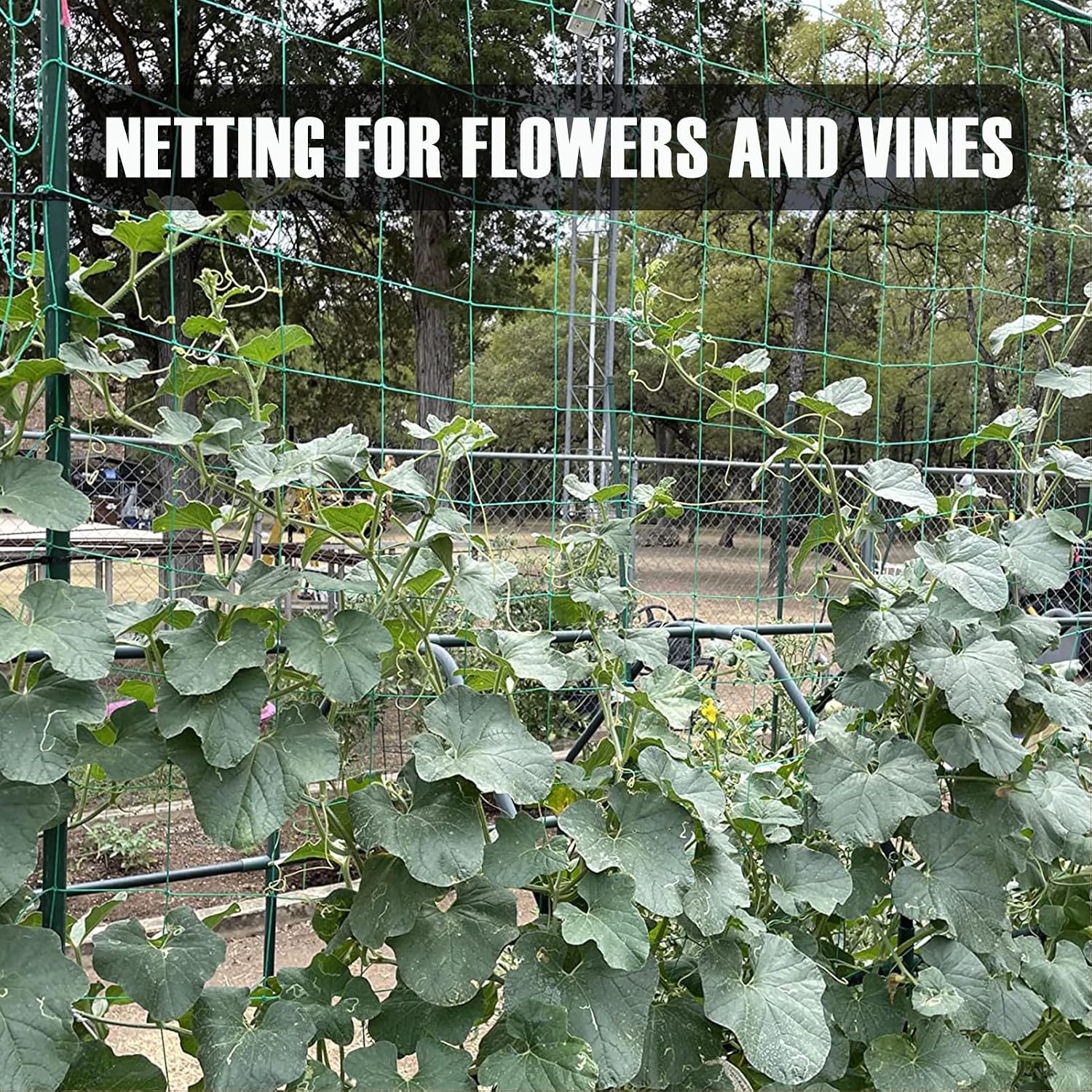 Trellis Netting, Heavy-Duty Garden Grow Netting for Climbing Plants, Outdoor Indoor Net for Cucumber, Tomatoes, Beans