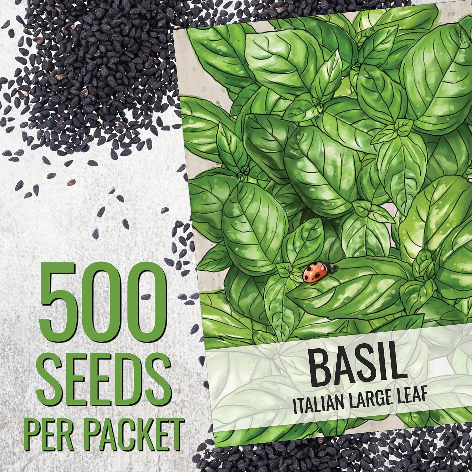 Seed Needs Italian Basil Seeds to Plant Heirloom Non-GMO Herbs 10 Pack