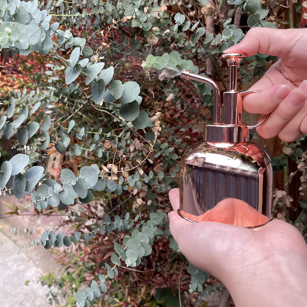 Stainless Steel Plant Mister Spray Bottle Watering Can for Indoor Plants Succulent Bonsai Garden Spray Houseplant