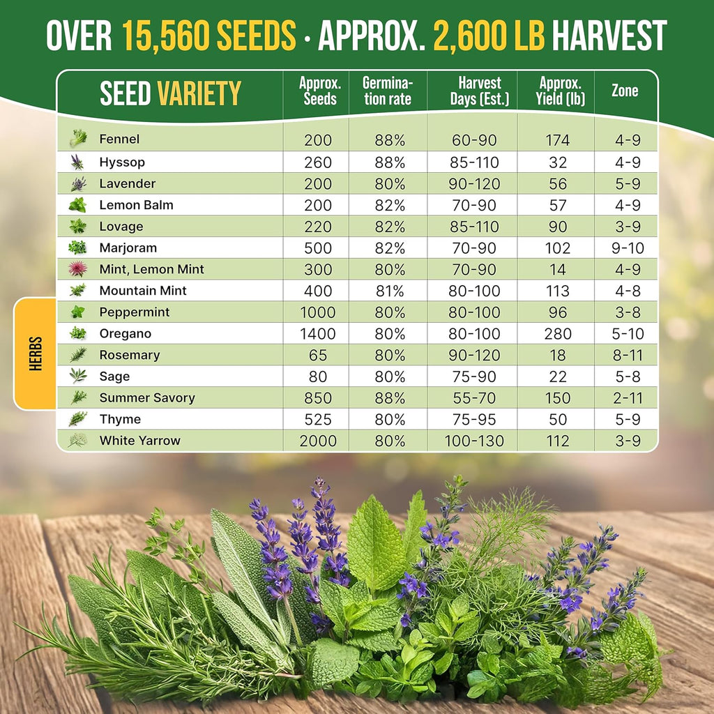 30 Medicinal & Tea Herb Seeds Variety Pack 15,560+ Non-GMO Heirloom Garden Seeds for Indoor & Outdoors, Including