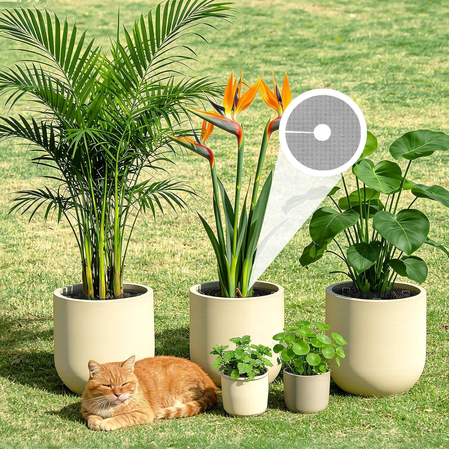 10Pcs Plant Pot Grids, Plant Protector from Cats, Cuttable Breathable Soil Covers Protectors from Animals, Reusable