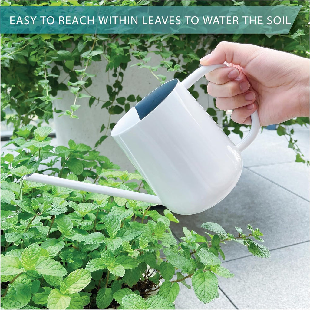 Metal Watering Can for Indoor Houseplants Outdoor Garden Long Sprout Water Can for Succulents Herb Bonsai Modern Garden