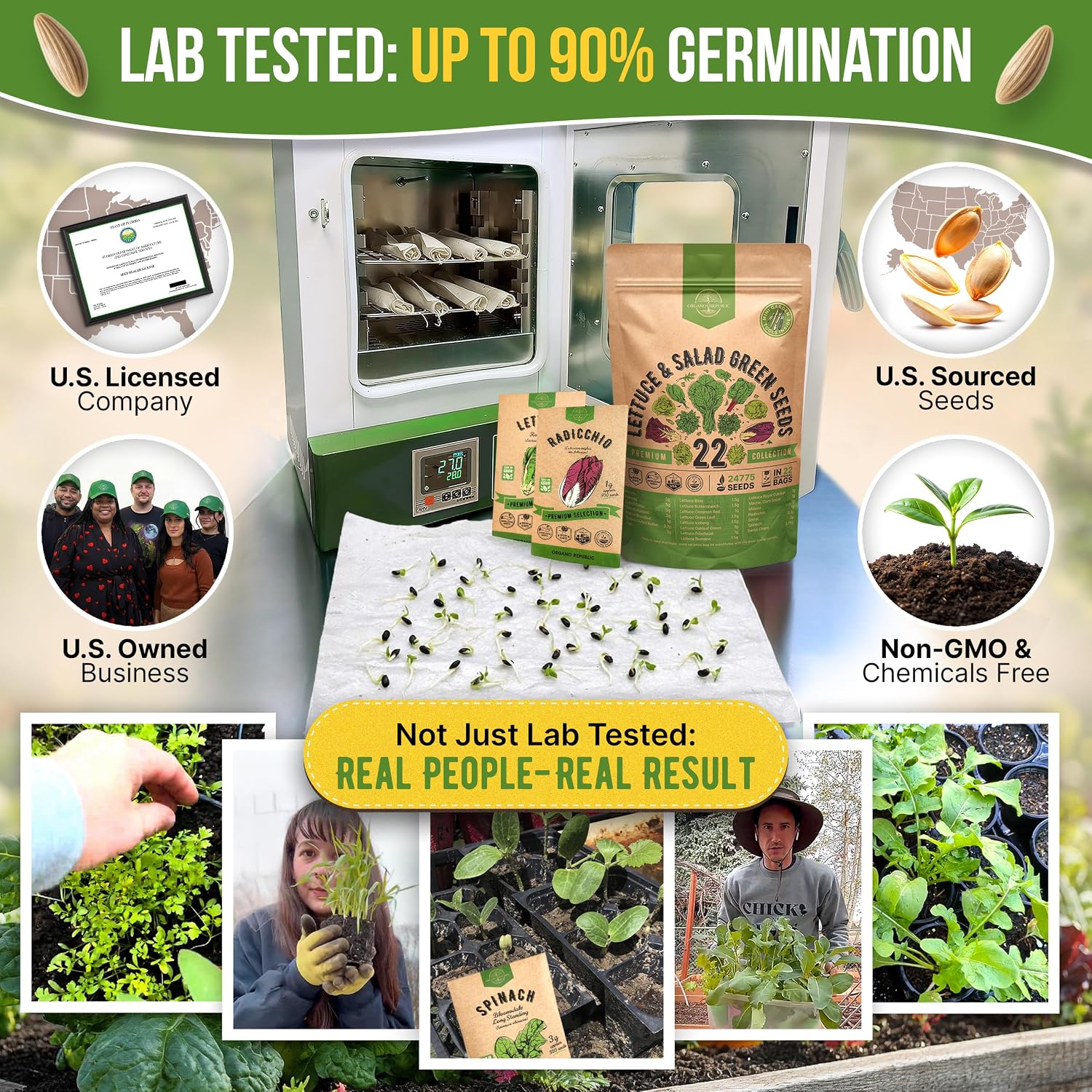 22 Lettuce & Salad Greens Seeds Variety Pack 24,700+ Non-GMO Heirloom Lettuce Seeds for Indoor & Outdoor Garden