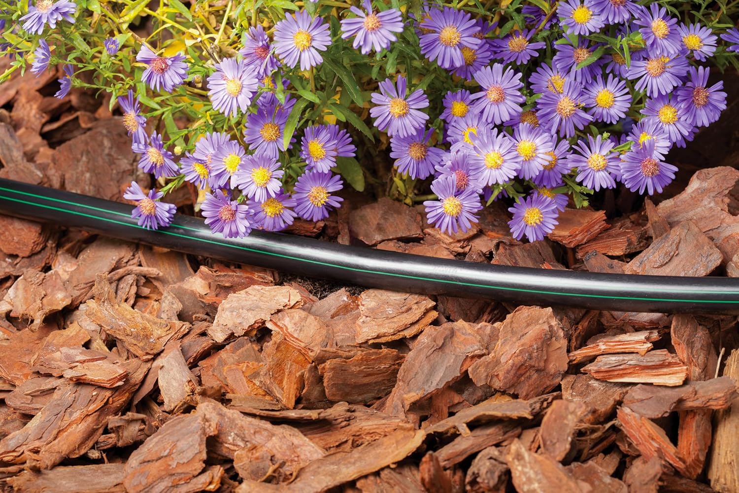 Rain Bird T63-500S Drip Distribution Tubing, 1/2"