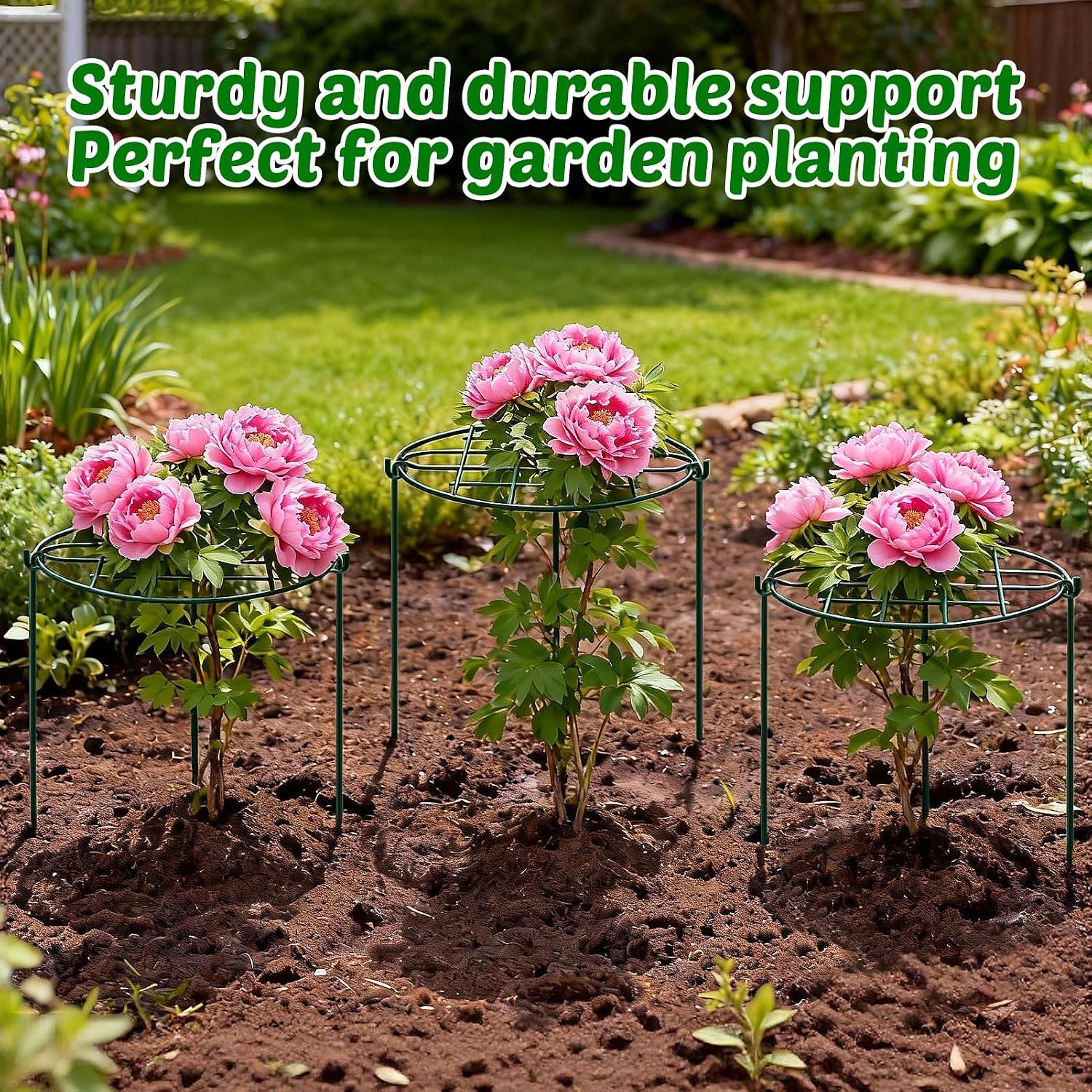 TTQ 8 Pack 12 x 15.7 inch Peony Cages and Supports,Metal Grow Through Plant Supports for Outdoor Plants,Flowers Support