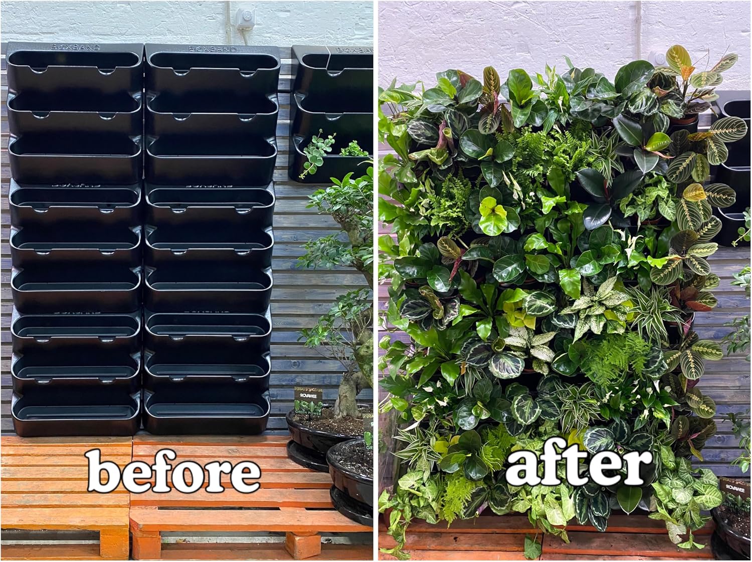 BOXSAND-12 Vertical Wall Planter (24"x26", Black with Black Pots) – Living Wall for 12 Plants, Indoor/Outdoor Vertical