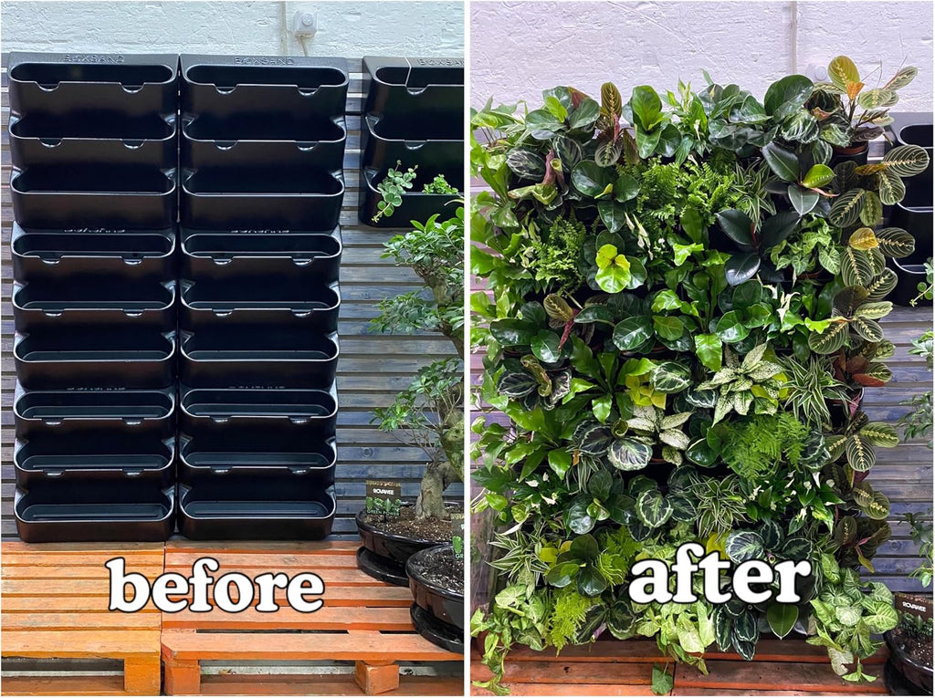 BOXSAND-6 (12"x26") Vertical Wall Planter – Living Wall for 6 Plants, Indoor/Outdoor Hanging Vertical Garden, Easy