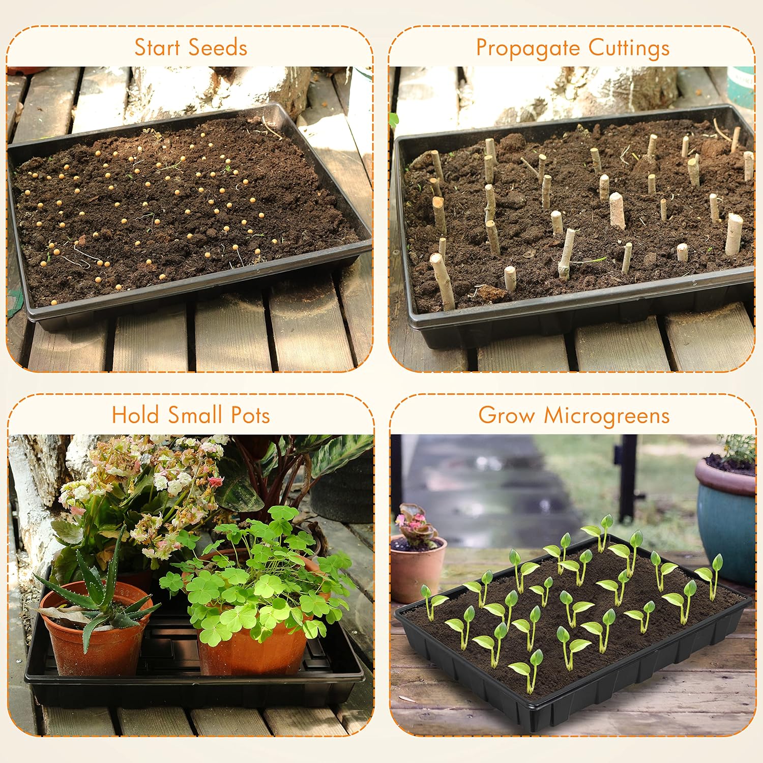 Gardzen 10 Pack Seed Trays, Reusable Plant Grow Trays, Ideal for Seed Starting, Microgreens, Indoor Gardening, and