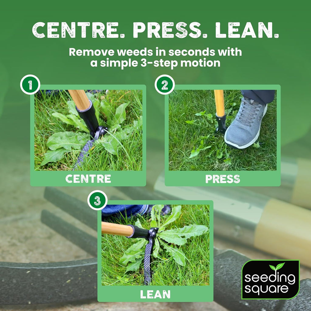 Stand-Up Weed Puller Tool with Long Handle for Dandelions and Garden Weeds. | Carbon Steel Head | Bamboo Shaft