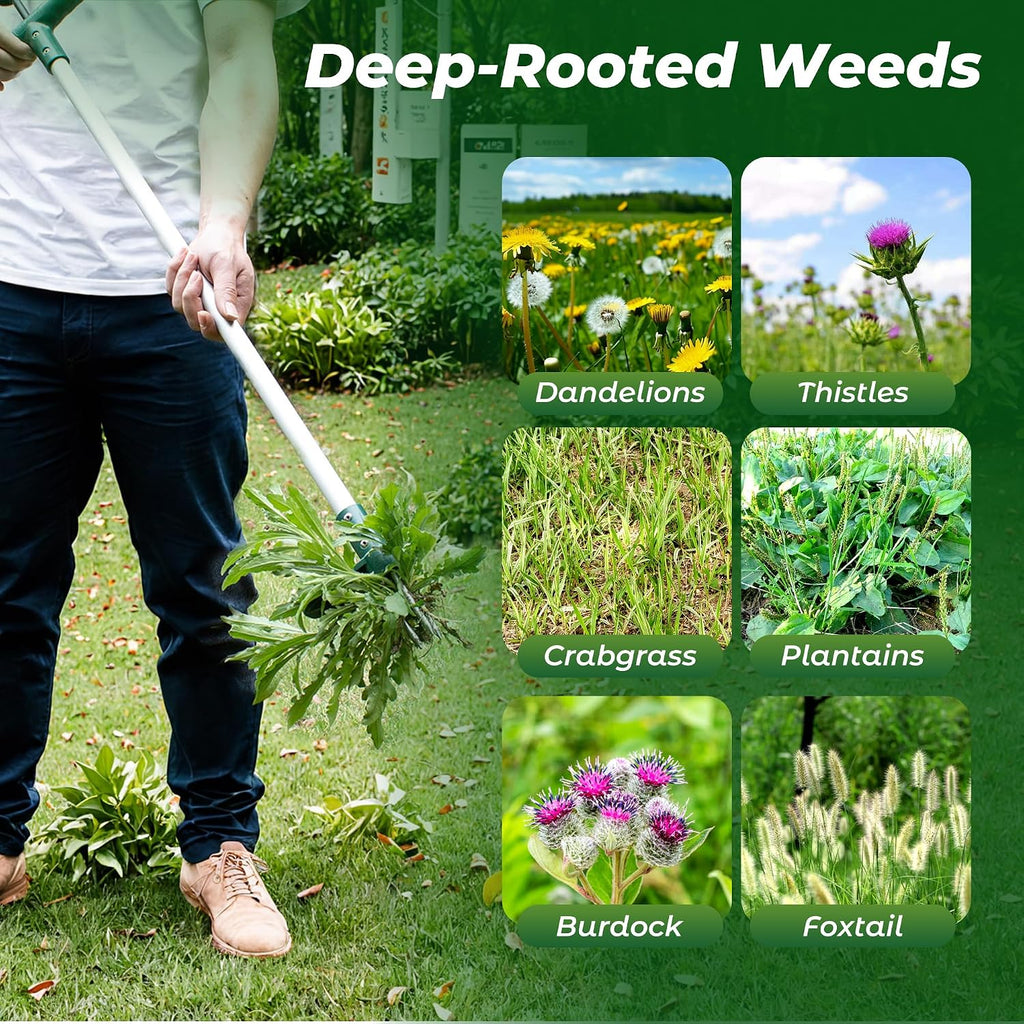 Walensee Weed Puller, Stand Up Weeder Hand Tool, Long Handle Garden Weeding Tool with 3 Claws, Hand Weed Hound Weed