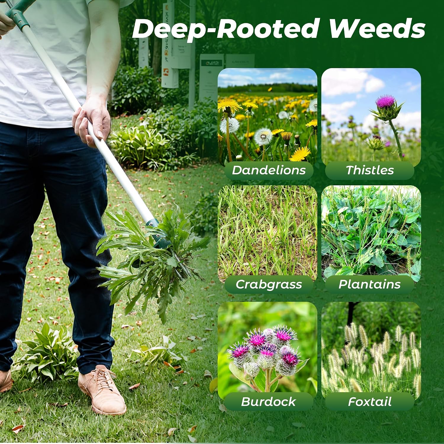 Walensee Weed Puller, Stand Up Weeder Hand Tool, Long Handle Garden Weeding Tool with 3 Claws, Hand Weed Hound Weed