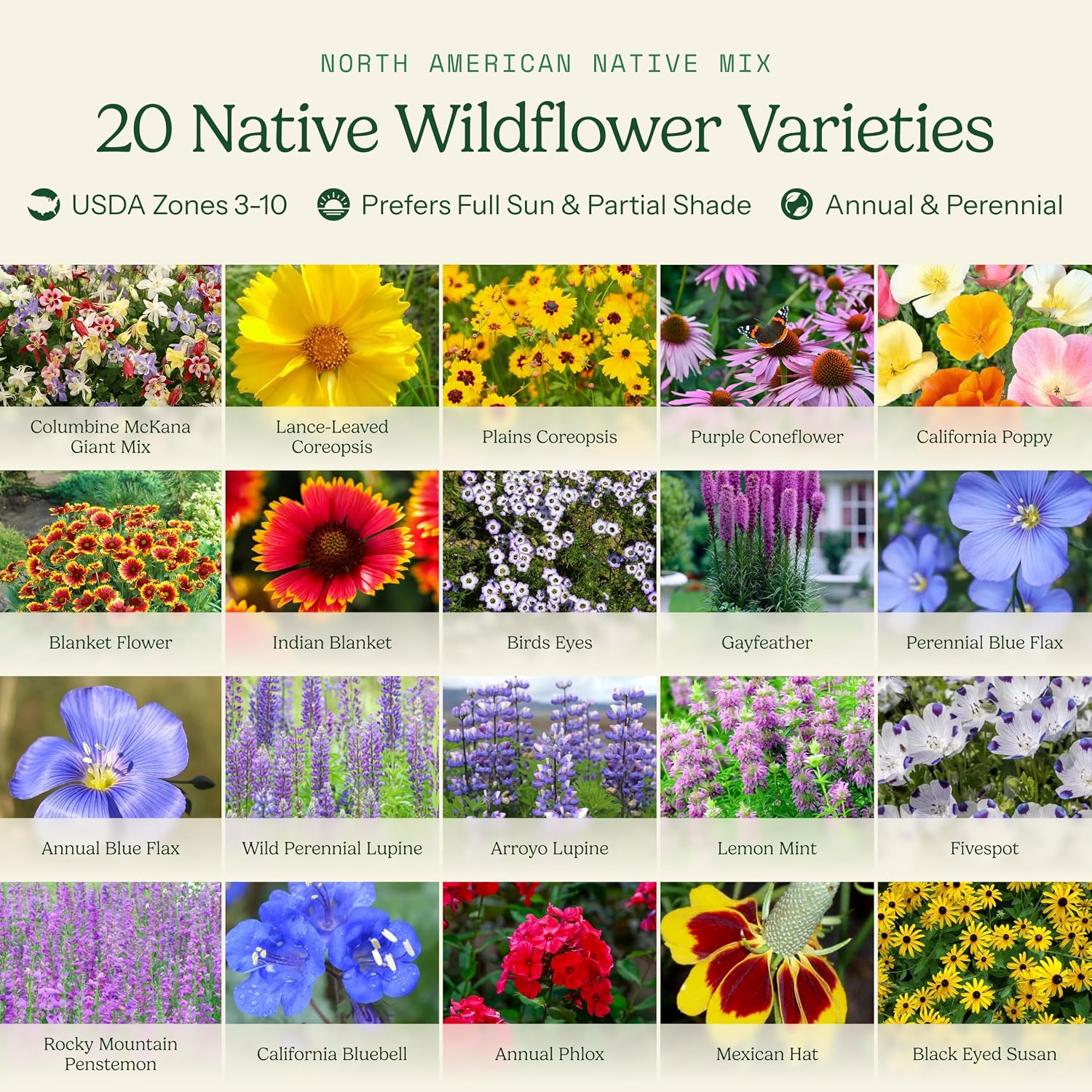 Eden Brothers North American Native Wildflower Mixed Seeds for Planting, 1 lb, 480,000+ Seeds with Birds Eyes, Lupine