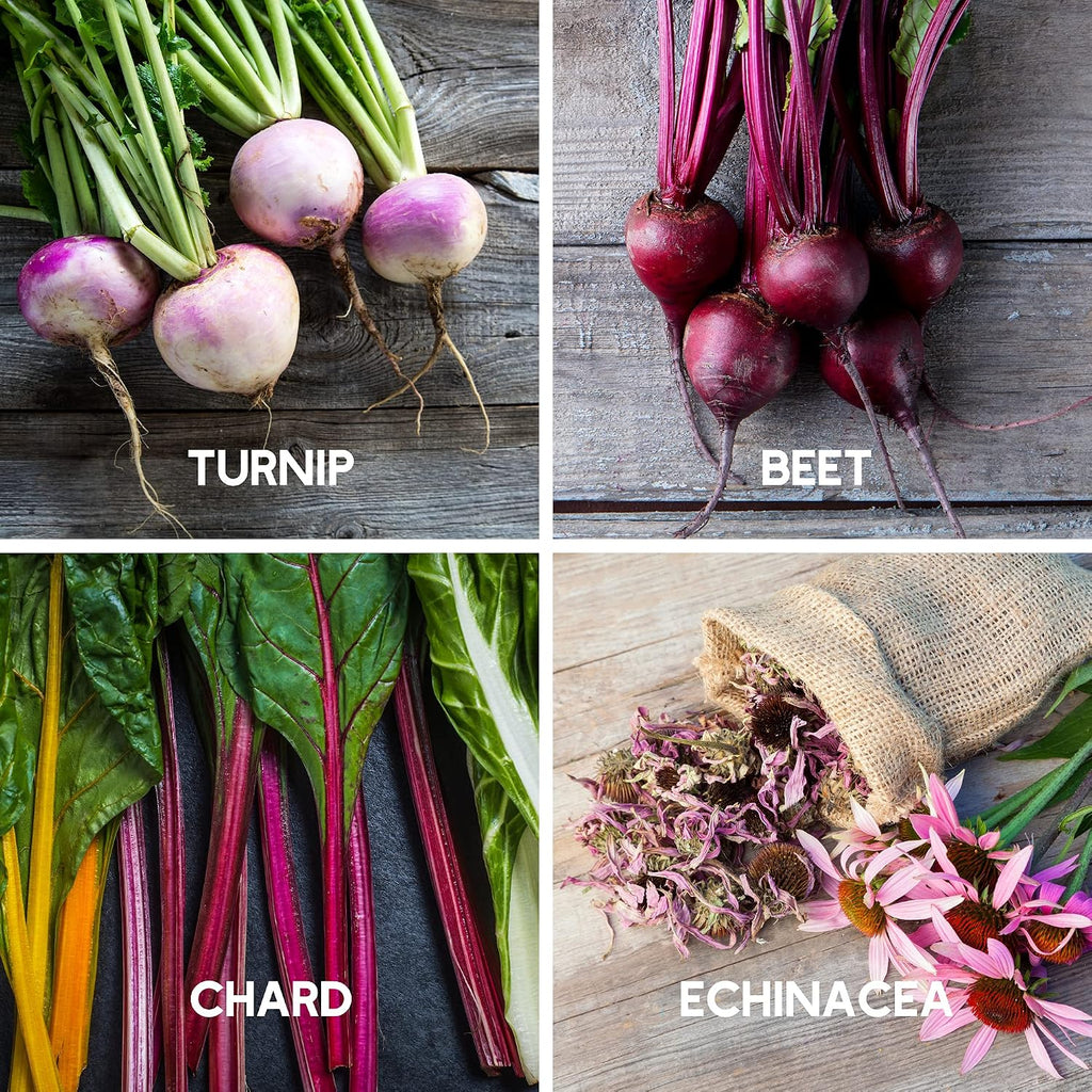 Mountain Valley Seed Co Fall Garden Heirloom Vegetable Seed ~3,800+ Seeds | 7 Varieties of Seeds to Sow in Fall Months