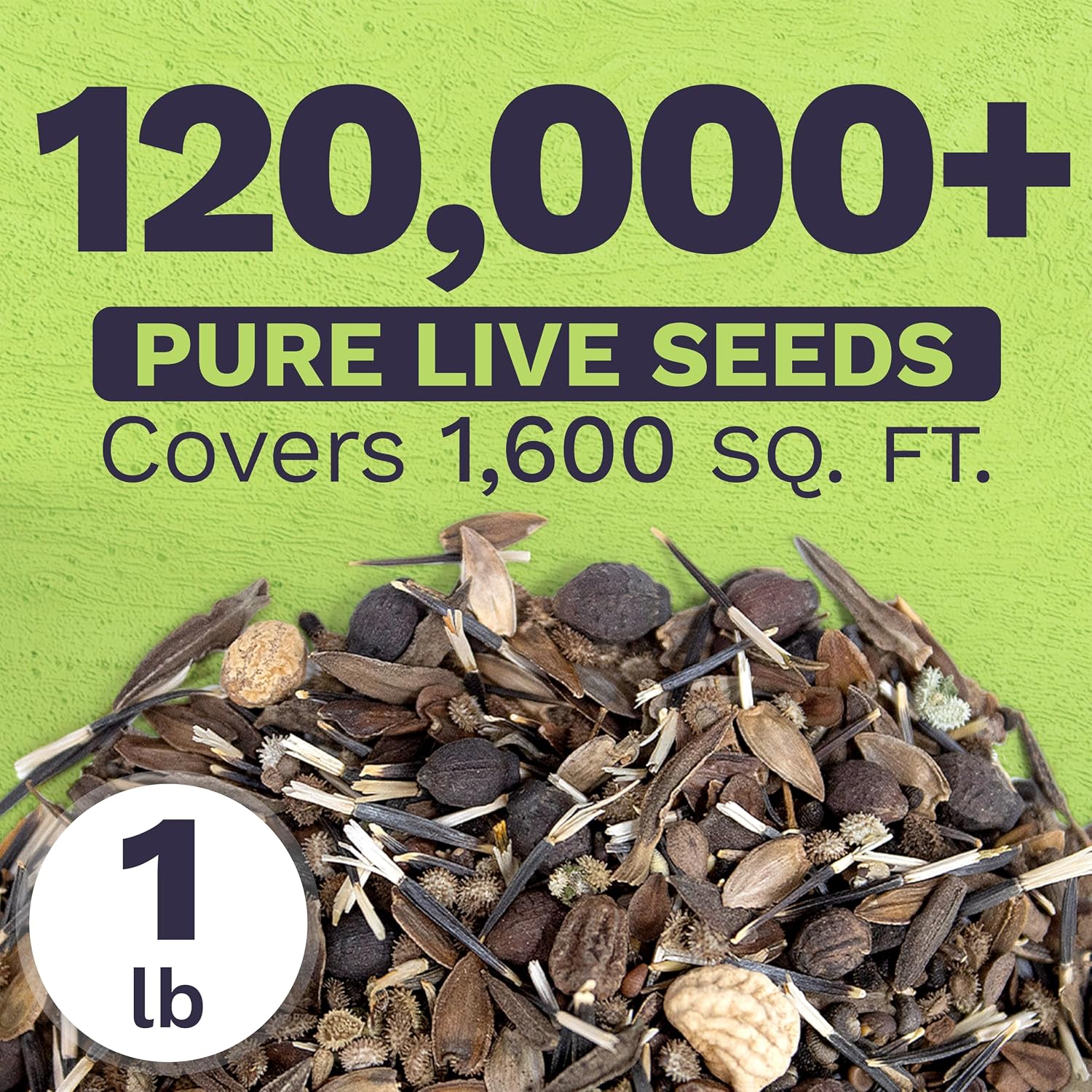 Bulk Wildflower Seeds Butterfly and Hummingbird Mix - 1 Pound Bag - Over 120,000 Open Pollinated Annual and Perennial