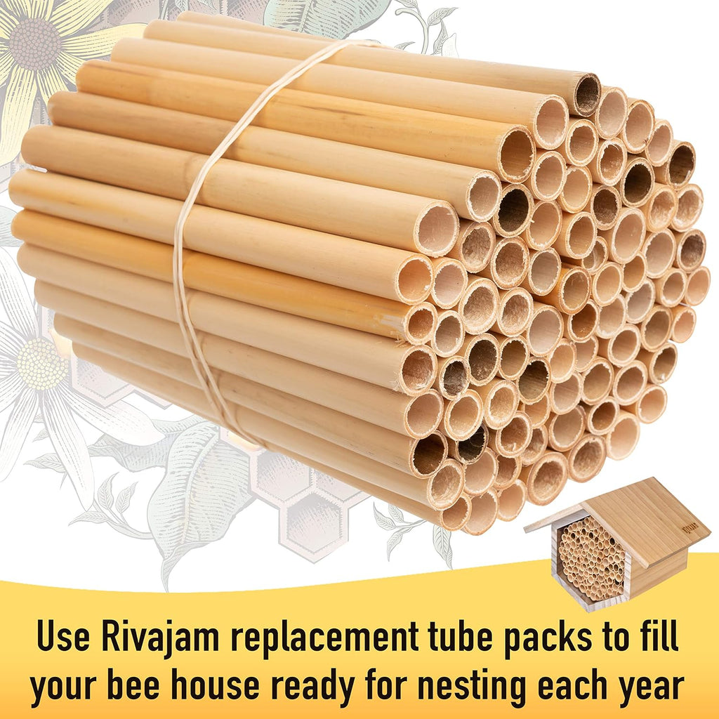 Rivajam 125 Phragmite Reed Mason Bee Tubes | Refill for Bee House, Hotel Nest Box, Solitary Hive & Pollinator Box