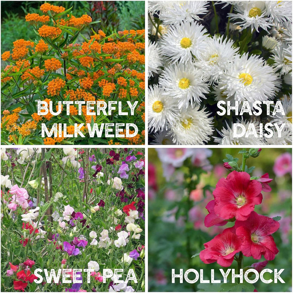 Mountain Valley Seed Co 35 Varieties Flower Seed for Planting 20,000 Seeds | Includes Annuals Perennials, & Wildflowers