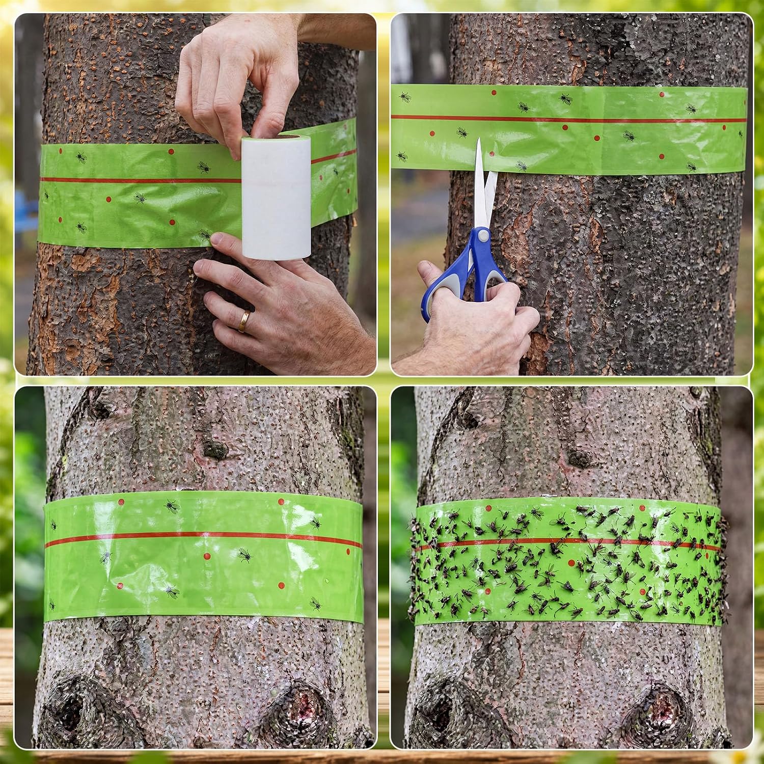 12 Rolls Spotted Lantern Fly Tree Trap 30 Feet Each Roll Lanternfly Tree Outdoor Fruit Fly Sticky Strips Paper Insect