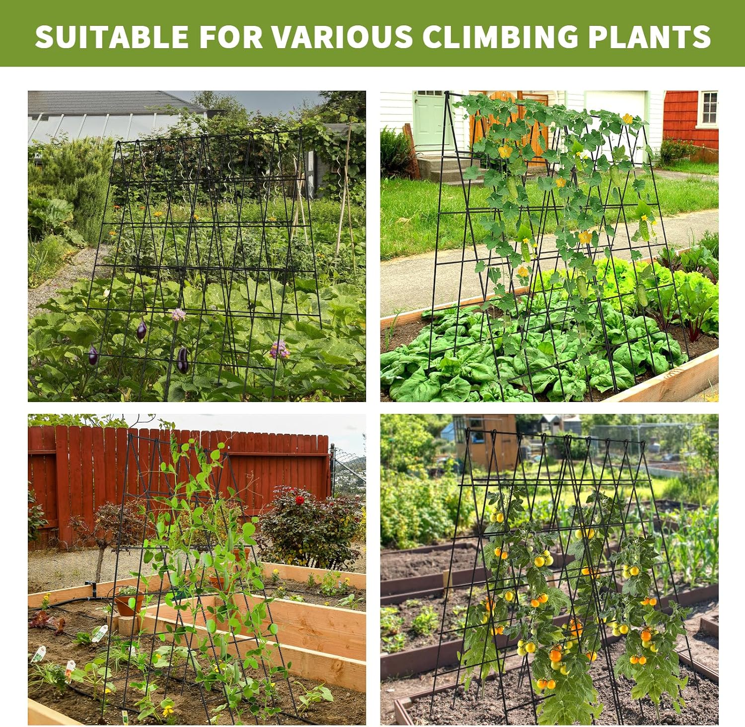 Cucumber Trellis 2 Pack,Foldable A-Frame Garden Trellis | for Raised Bed Garden Grow Support with Plant Support Clips