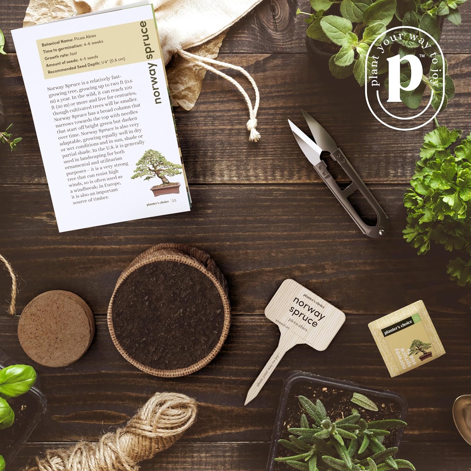 Bonsai Tree Kit for Beginners & Plant Lovers - Grow Your Own Bonsai | 4 Species Starter Kit with Burlap Pots, Shears