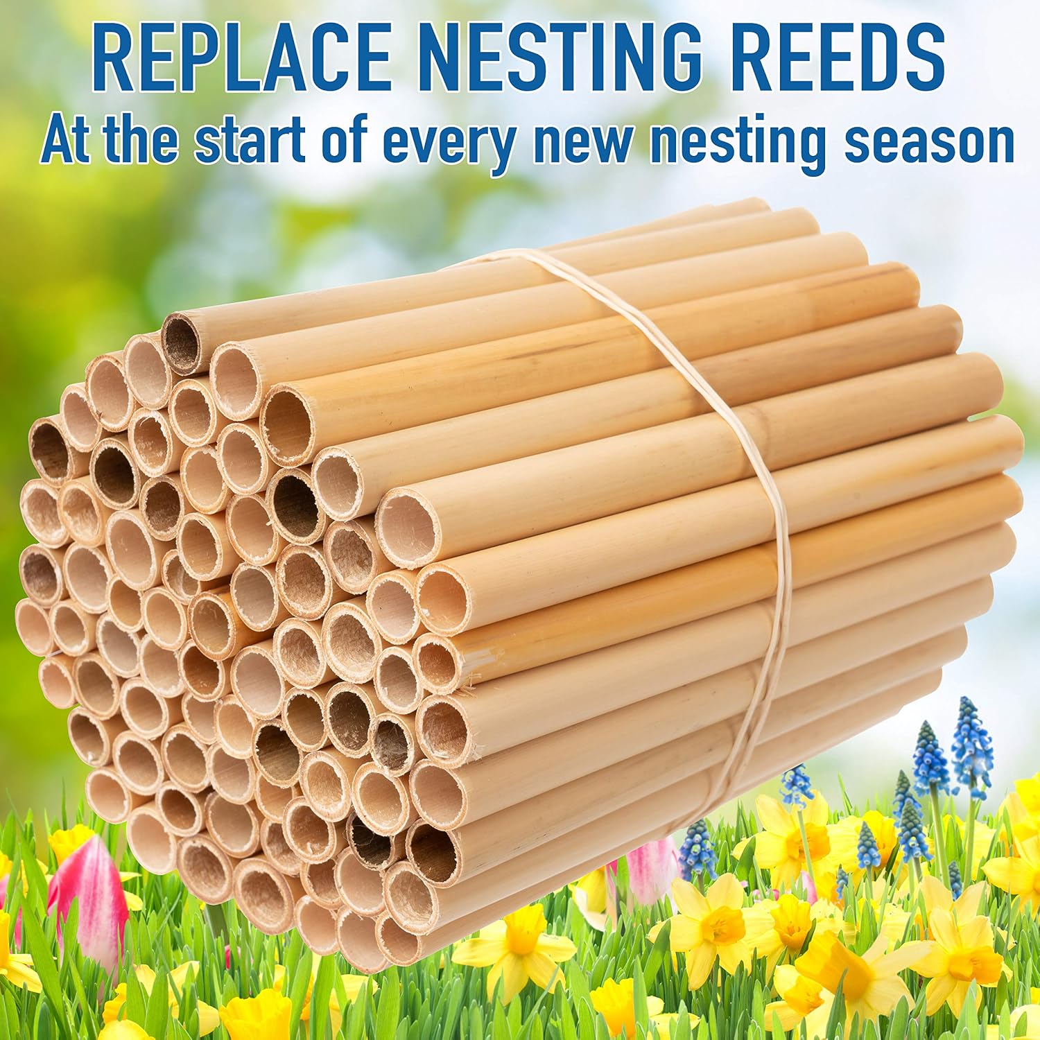 Rivajam 125 Phragmite Reed Mason Bee Tubes | Refill for Bee House, Hotel Nest Box, Solitary Hive & Pollinator Box