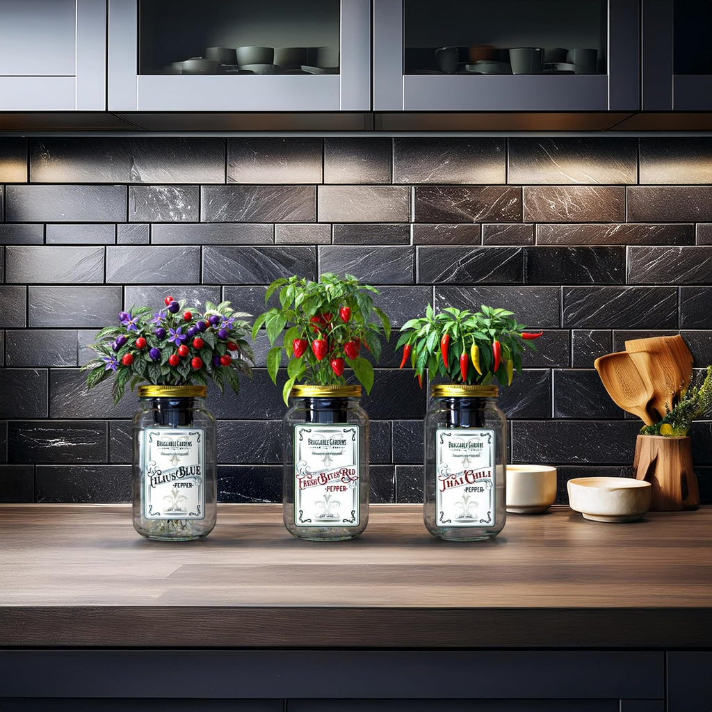 Micro Pepper Mason Jar Garden Kit (3 Pack) – Thai Chili, Filius Blue & Mini Red Bell Pepper – Indoor Hydroponic Pepper