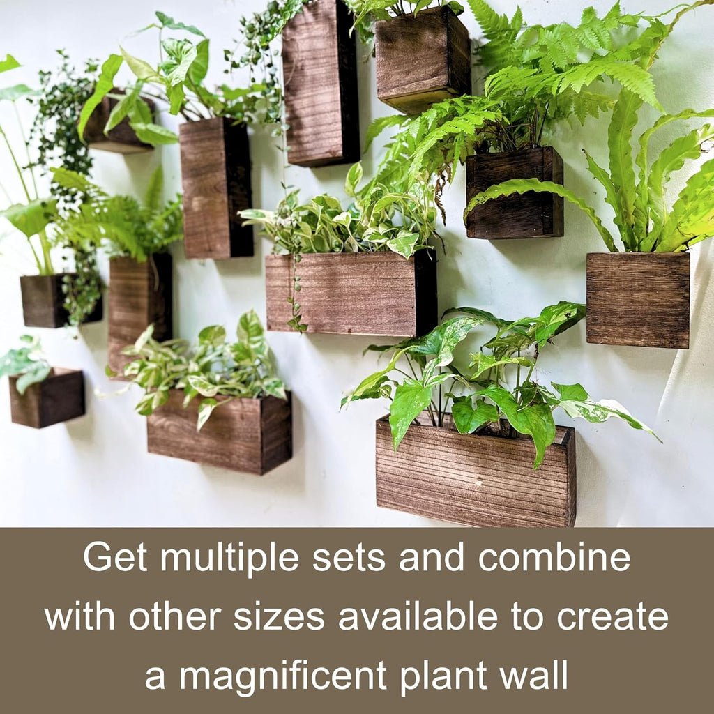 LaLaGreen Wooden Wall Planters (4 Pack) Hanging Wood Planter Box for Plants | Indoor Boxes Plant Holder Vase for Dried