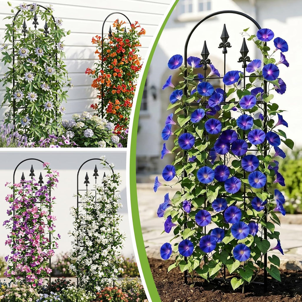 2 Pack 57.8" H x13 W Garden Trellis for Climbing Plants Outdoor, Rustproof Arched Metal Rose Trellis for Outdoor Indoor