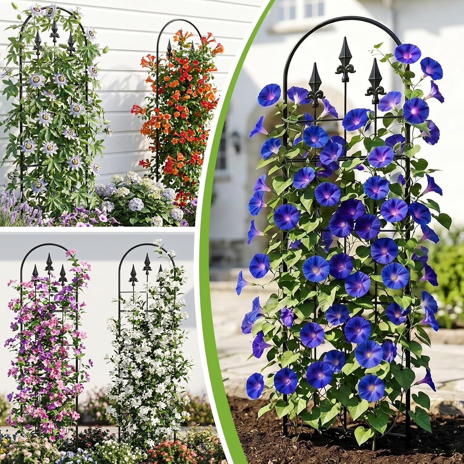 2 Pack 57.8" H x13 W Garden Trellis for Climbing Plants Outdoor, Rustproof Arched Metal Rose Trellis for Outdoor Indoor