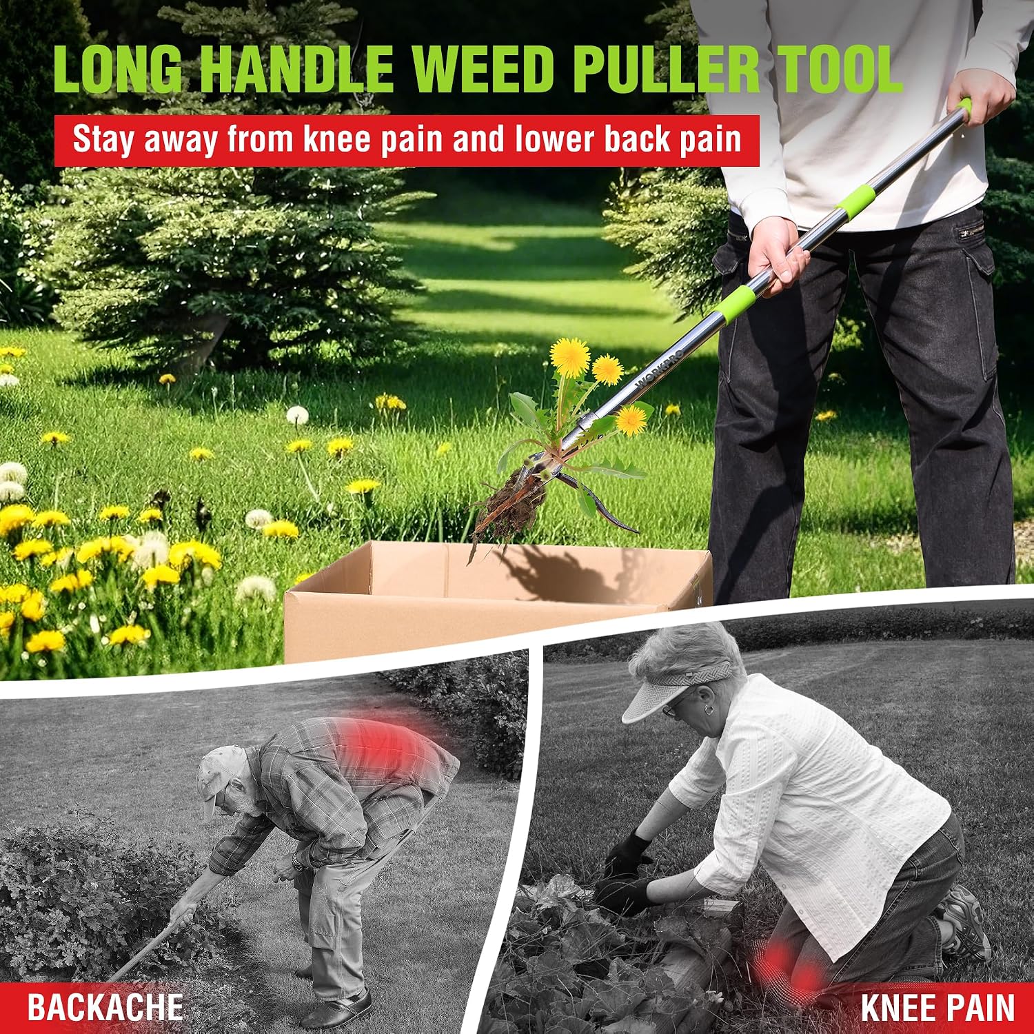 WORKPRO Weed Puller Tool with Long Adjustable Handle (33", 46") | Stand Up Weed Remover- 4 Claw Steel Head & Foot Pedal