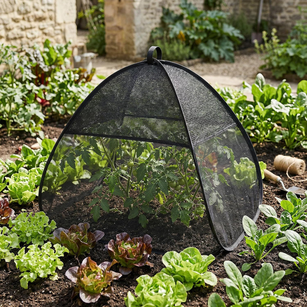 2Pcs Pop Up Garden Netting Bug and Shade Cover,Plant Sun Shade Netting Tent | 22"x22"x22" Insect Barrier Sun Protection