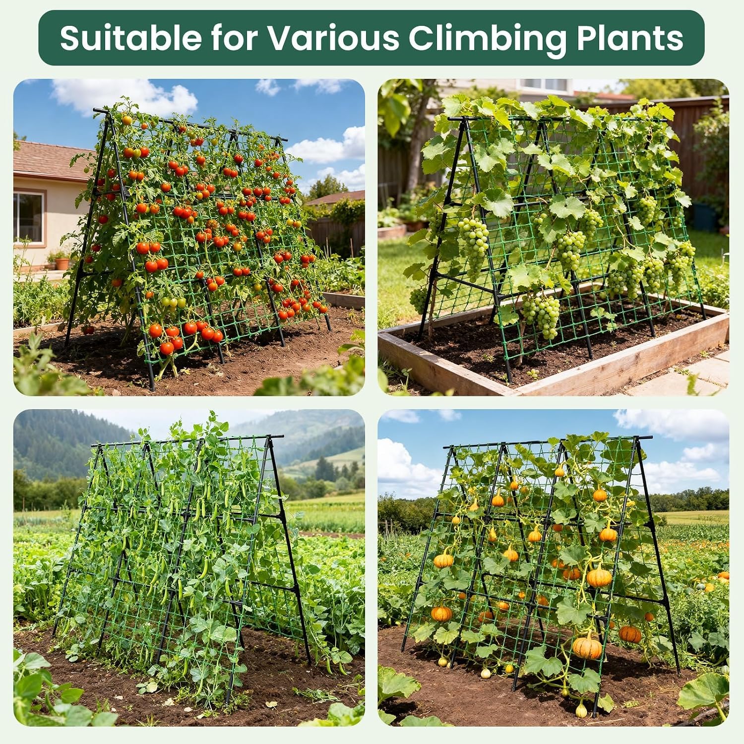 OTOSUNNY Cucumber Trellis for Raised Garden Bed, 50 x 48 in, Black | A Frame Trellis Metal Plant Support with Netting