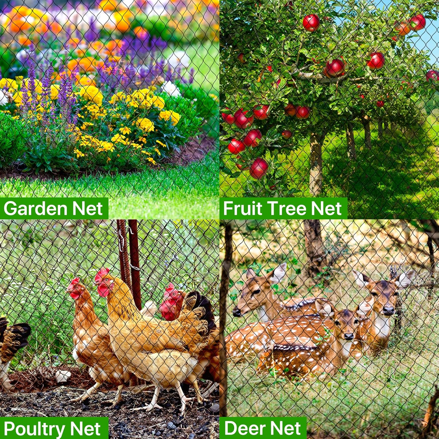 Bird Netting for Chicken Coop,50x50ft Poultry Netting with 2.4" Square Mesh | Heavy Duty Garden Net for Blueberry