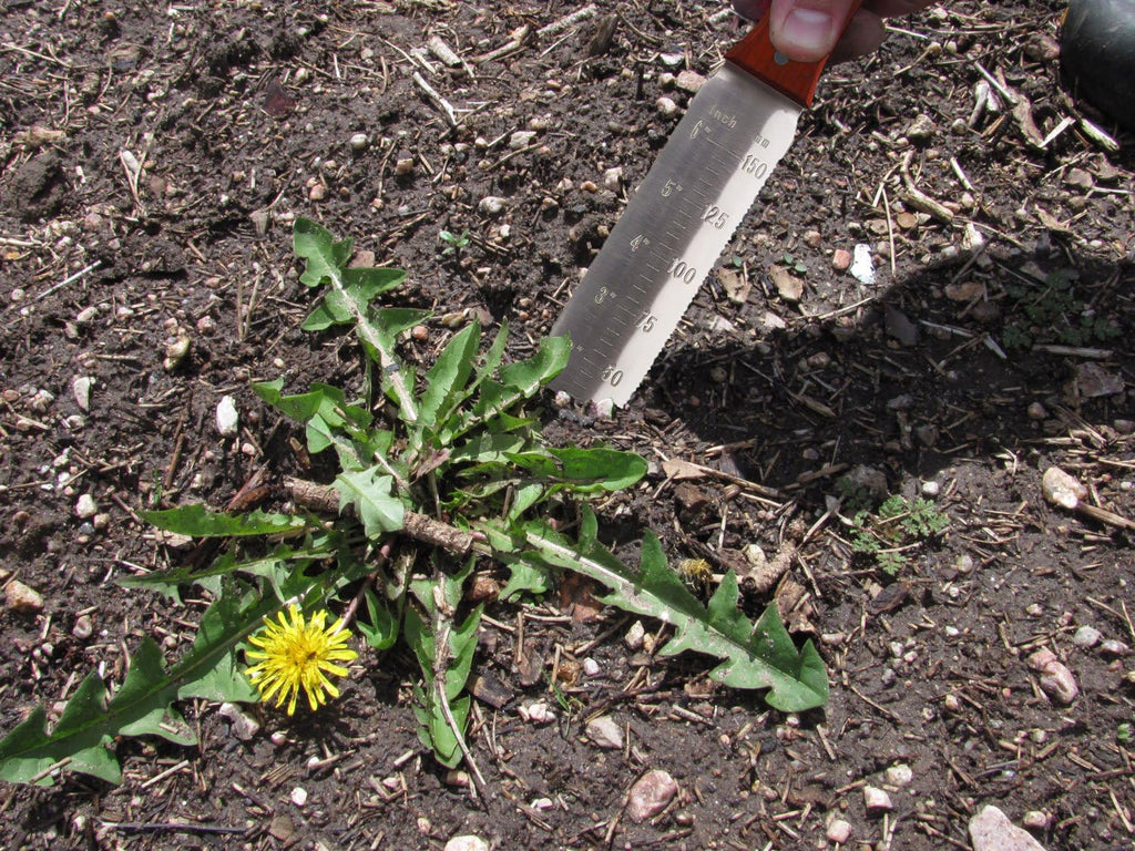 Hori Hori Knife Gardening Tool -LifeWell Garden Products.Best All-Purpose Japanese Garden Knife with LifeTime