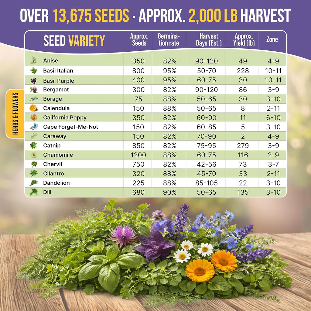 30 Medicinal Tea Herb & Flower Seeds Variety Pack - 13600+ Non-GMO Heirloom Flower Seeds for Outdoor & Indoor Garden