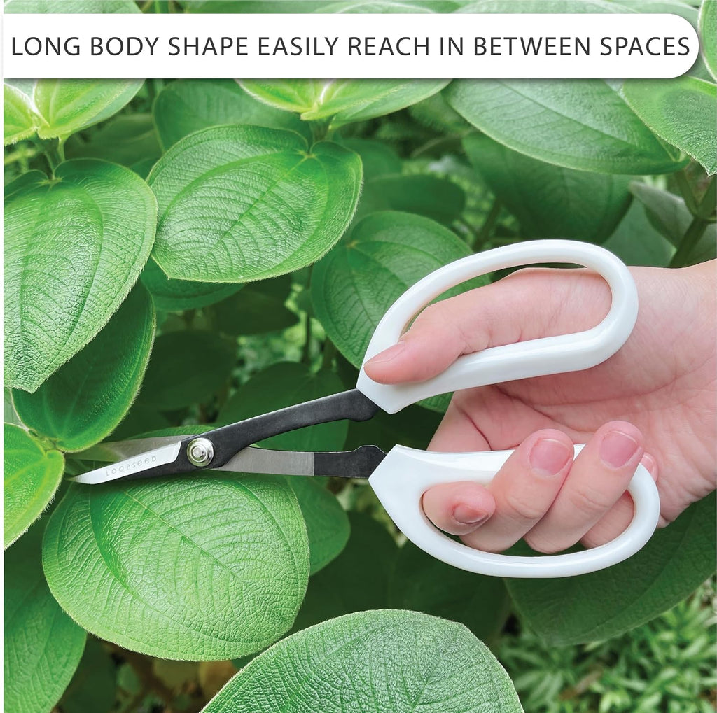 Precision Gardening Scissors Plant Trimming Pruning Shears Garden Pruners for Orchid Bonsai Hydroponic Flower Clipper
