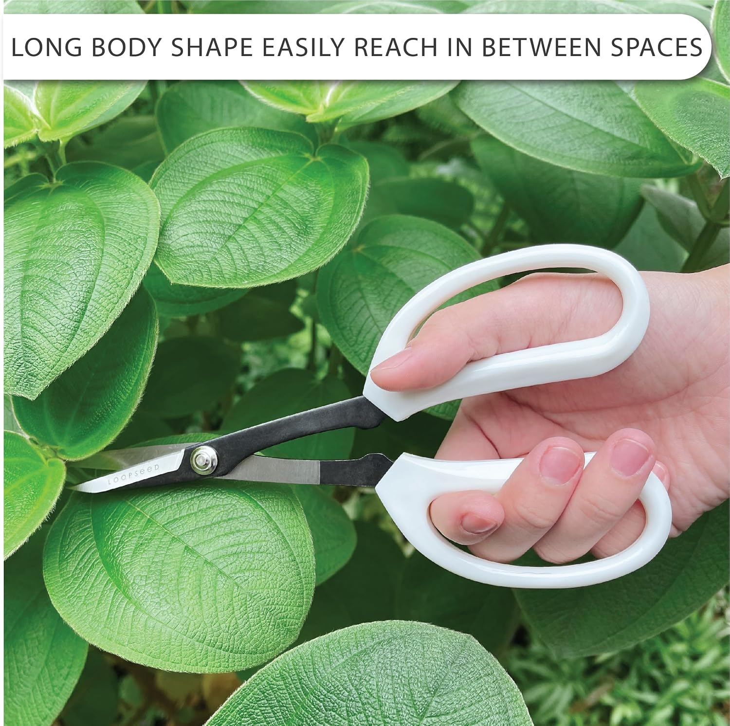 Precision Gardening Scissors Plant Trimming Pruning Shears Garden Pruners for Orchid Bonsai Hydroponic Flower Clipper