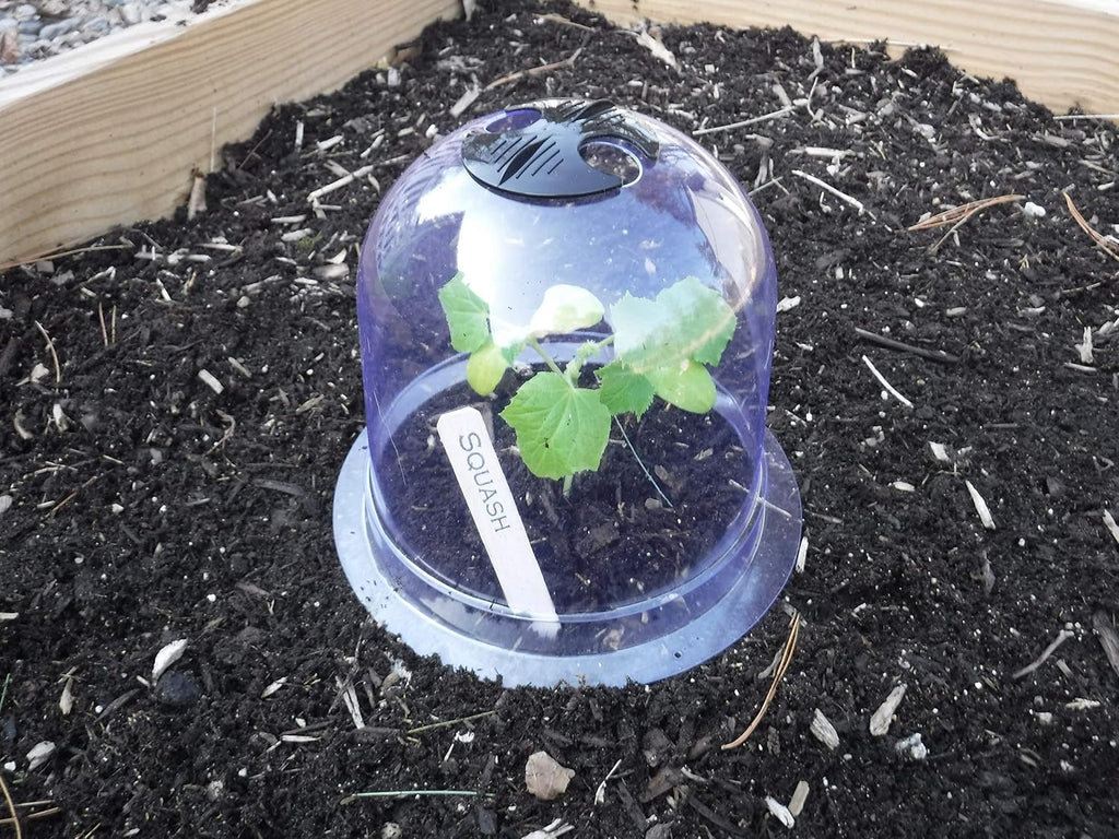 6-Pack! GrowAway Small Reusable Plastic Mini Greenhouse, Garden Cloche Dome, Plant Covers Frost Guard Freeze Protection