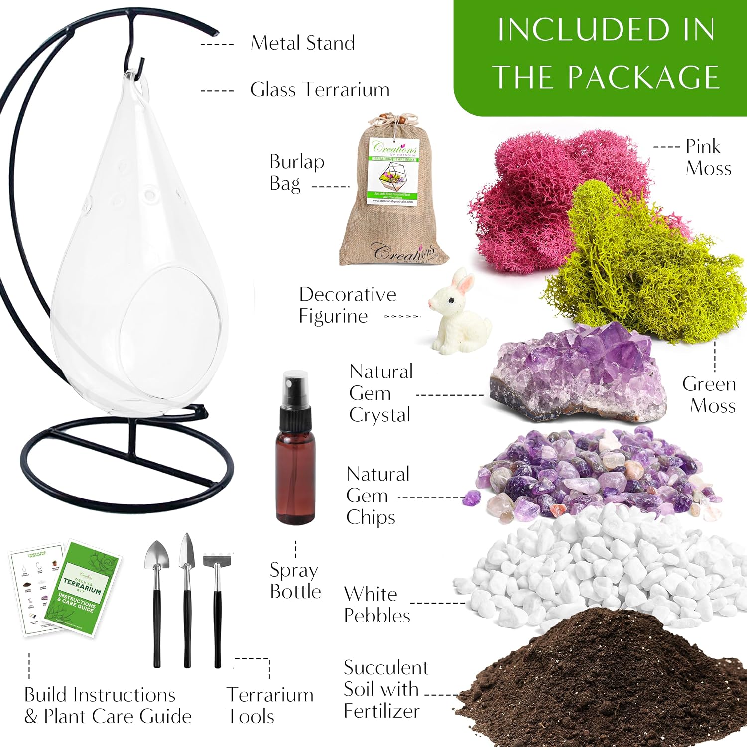 Creations by Nathalie DIY 7" DIY Teardrop Terrarium Kit - Build Your Own Glass Terrarium for Adults & Teens with Moss