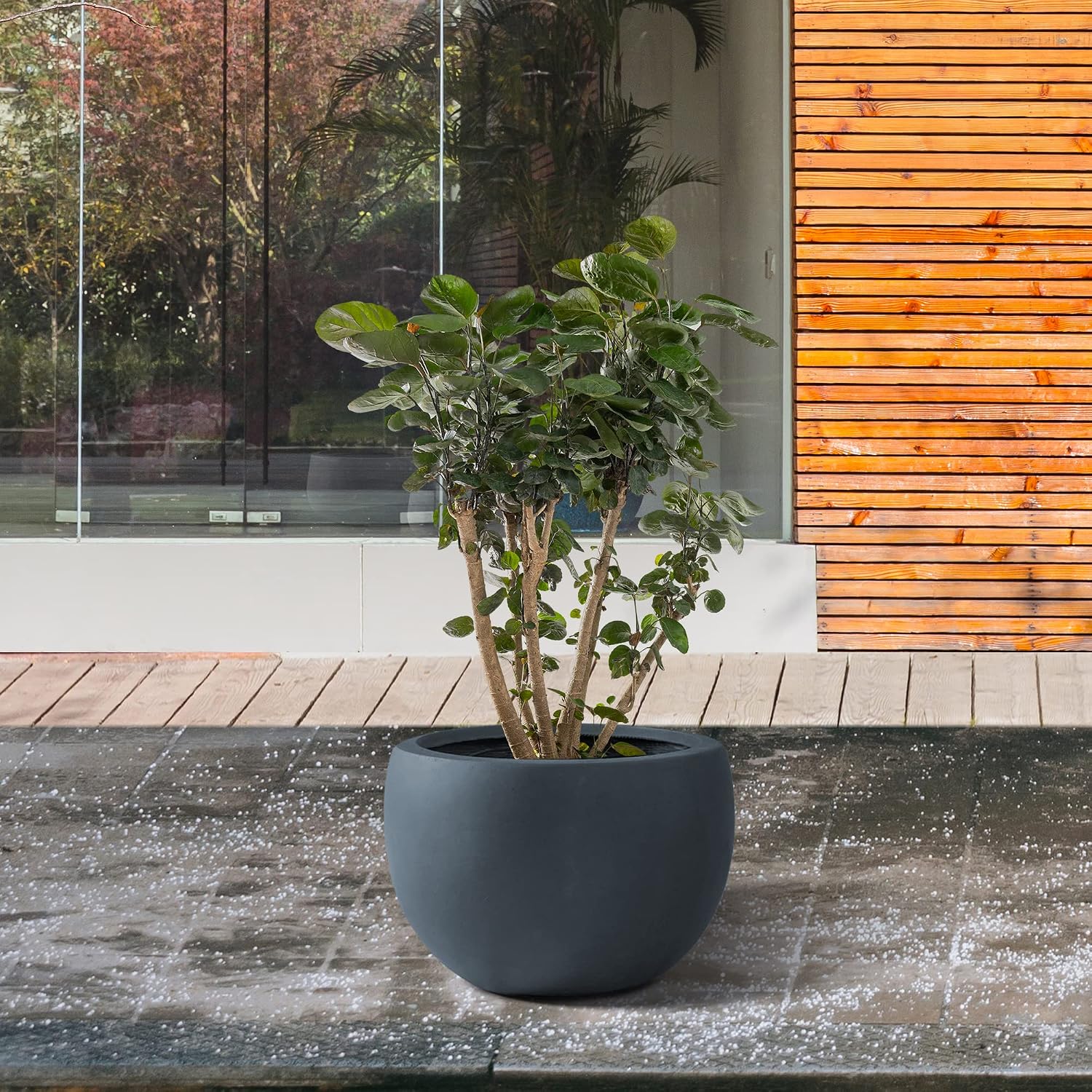 Kante Small Round Bowl Charcoal Concrete Planter 11.8" Dia, Outdoor | Rubber Plug for Indoor, Drainage for Garden