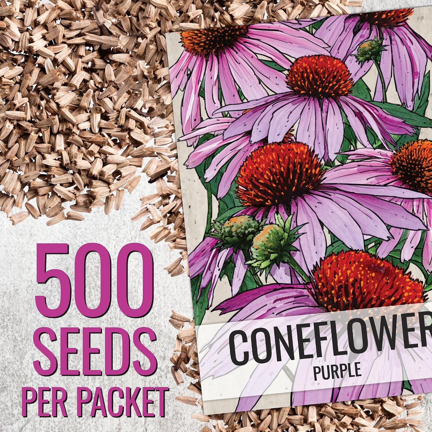 Seed Needs Purple Coneflower Seeds to Plant Echinacea Flowers 10 Pack