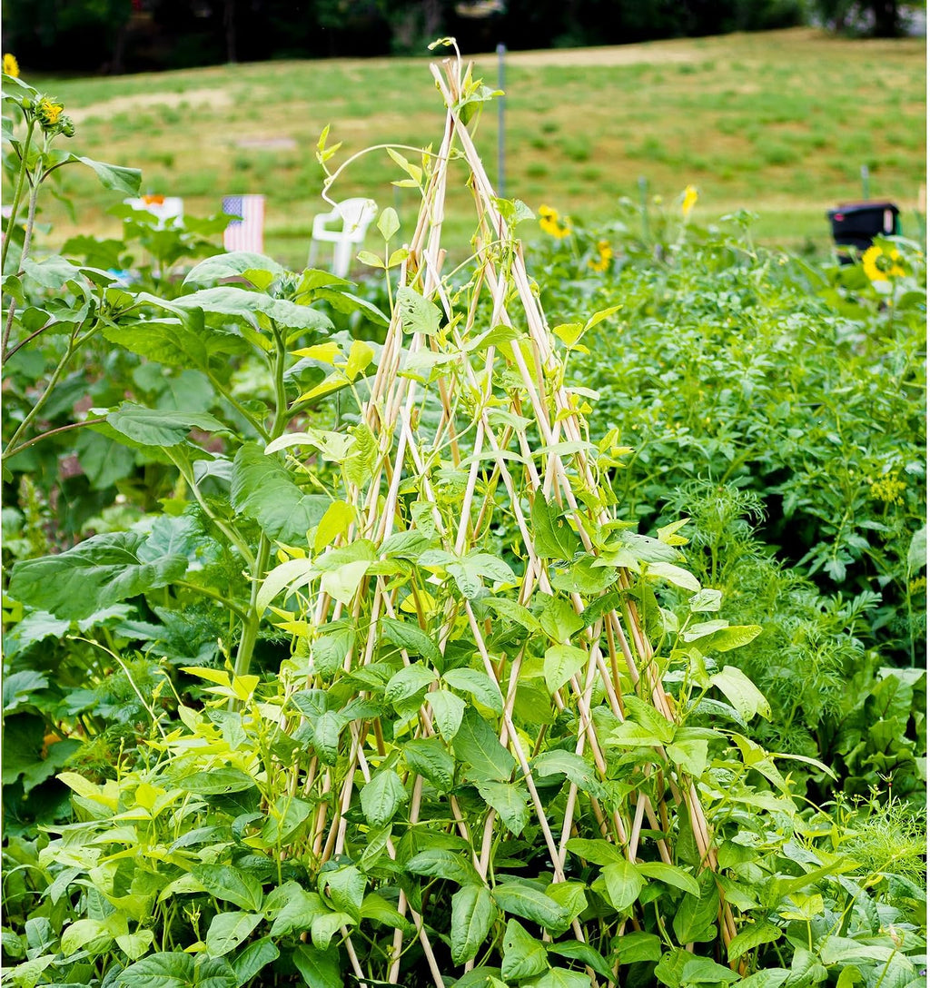 4ft Expandable Bamboo Teepee Trellis for Climbing Plants, Self-Standing Natural Bamboo Trellis for Plant Support